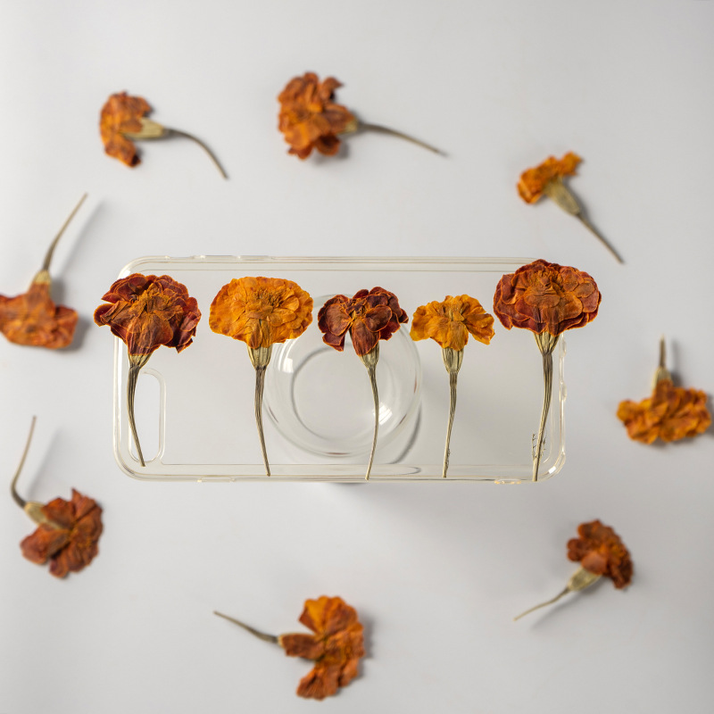 250pcs 프레스드 드라이 플라워 타게테스 에레카 L - Dried Flower Bookmark 리뷰 및 가격